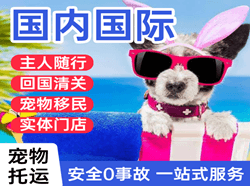 常州空运代理国际宠物托运 【国